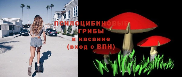 гашик Вязьма